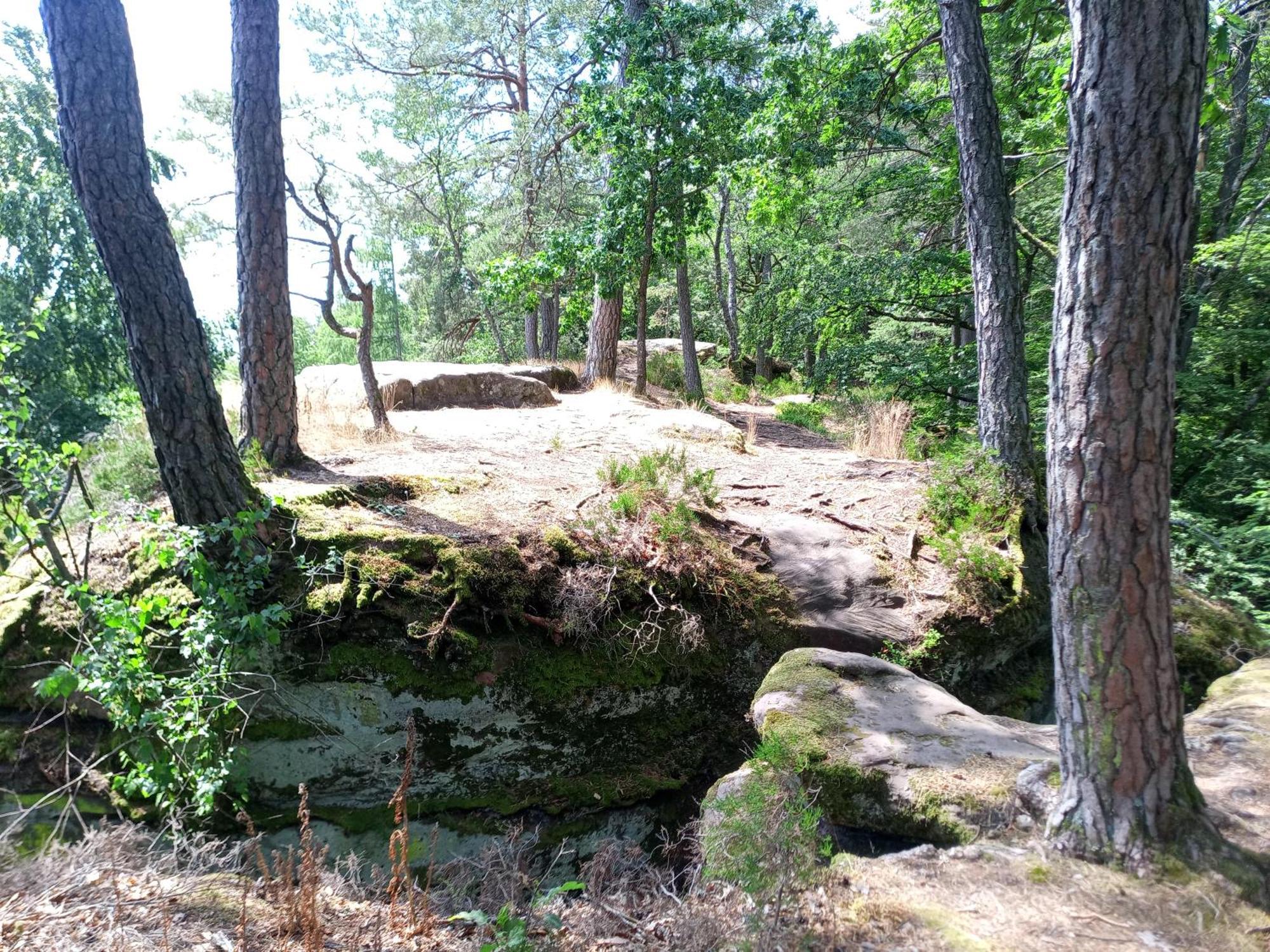Zimmer Mit Sauna Und Kochgelegenheit Rott Bagian luar foto